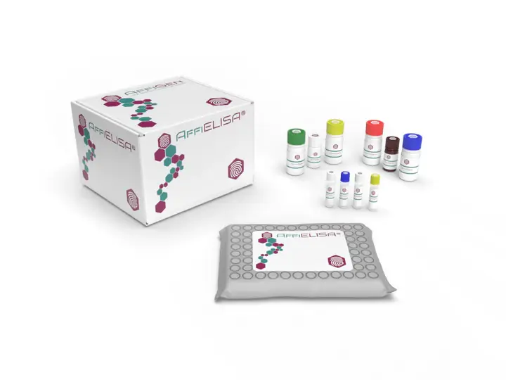 Bovine Pulmonary surfactant- associated protein D, SFTPD ELISA Kit - 96tests