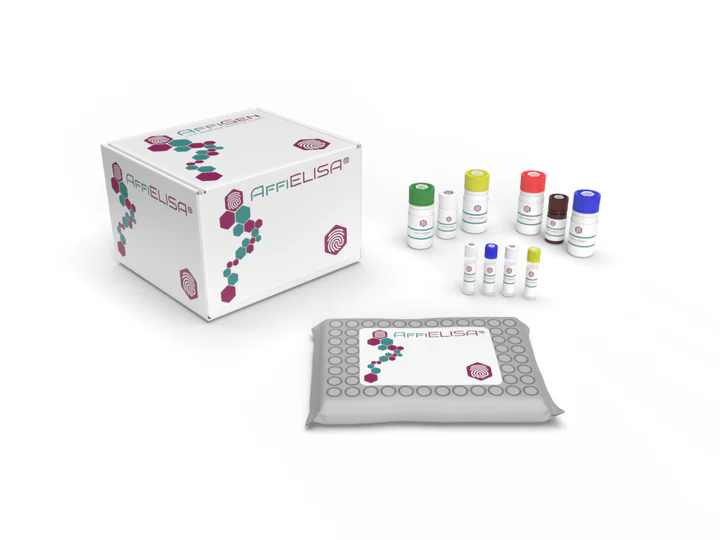 Human E3 ubiquitin- protein ligase RNF128, RNF128 ELISA KIT - 96tests