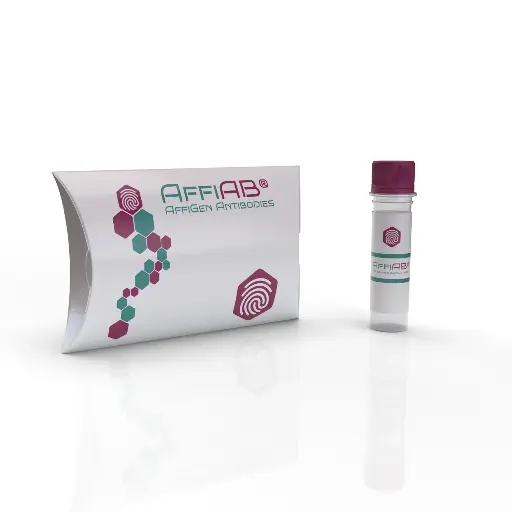 [ABF5148] EGF Antibody - 100µg