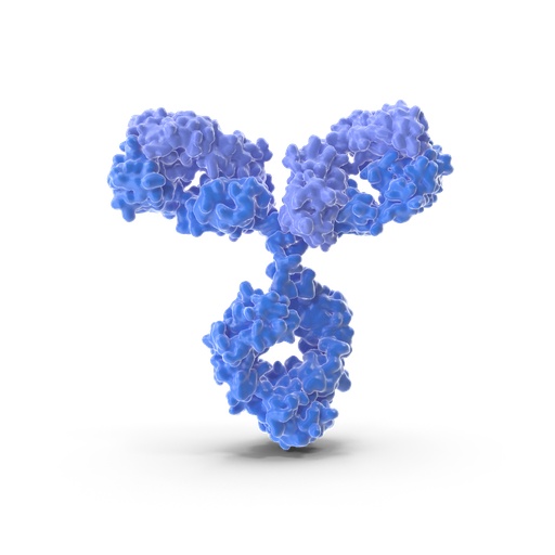 [BF0004] SFTPC antibody - 100µg